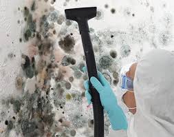 Trusted Miles City, MT Mold Removal Services Experts